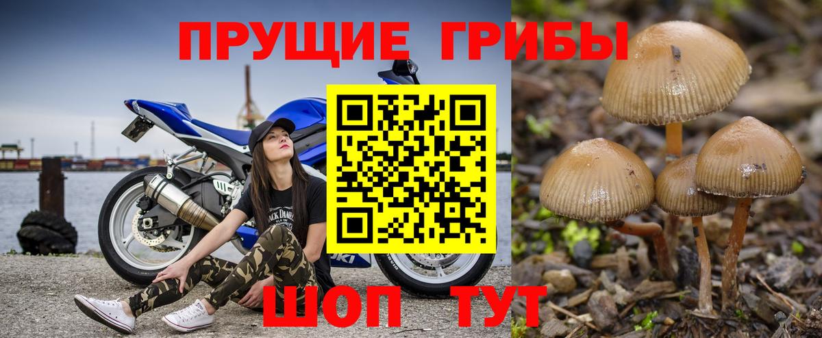 Галлюциногенные грибы GOLDEN TEACHER  Вход с VPN  Десногорск 
